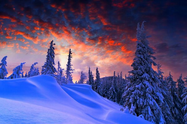 Paesaggio invernale in montagna