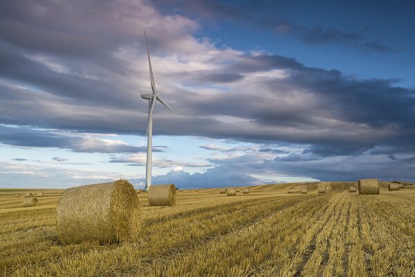 Die Stille der Herbstfelder unter den Windrädern