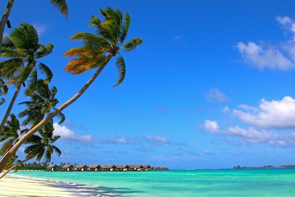 Strand von Palma Urlaub am Meer