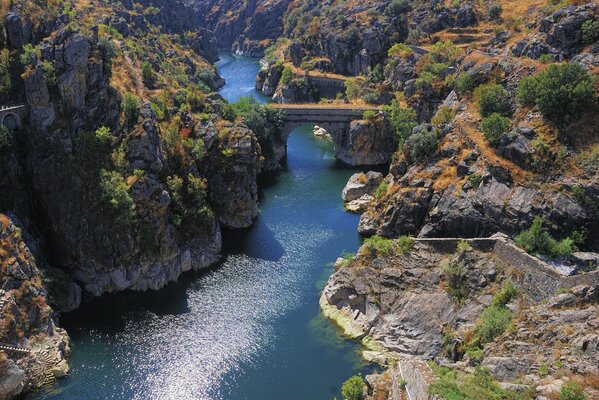 Río bañándose en el sol entre las rocas