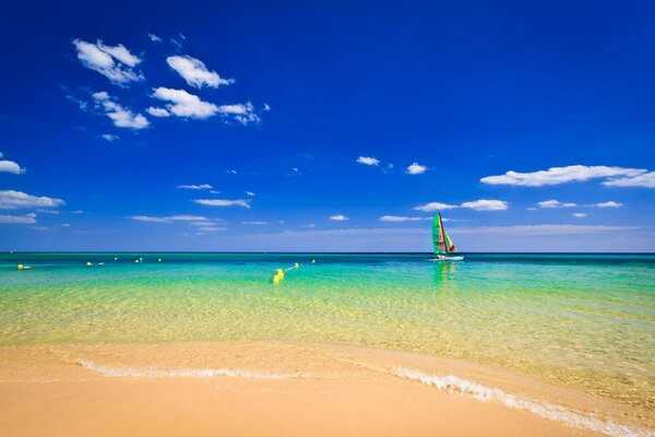 Plage paradisiaque avec des eaux cristallines