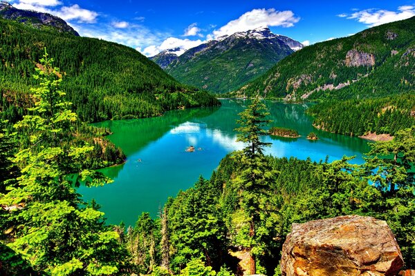 A lake among mountains and forests