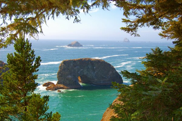 Acantilados frente a la costa del Pacífico en Oregon