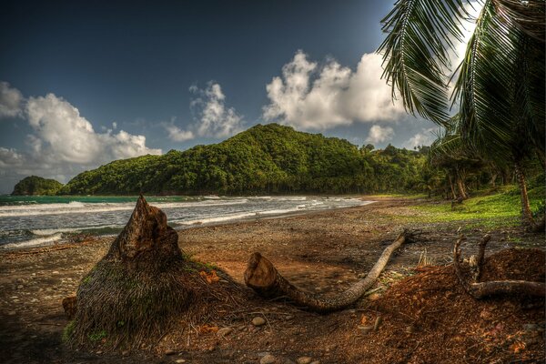 Beach on the Caribbean Sea Bay