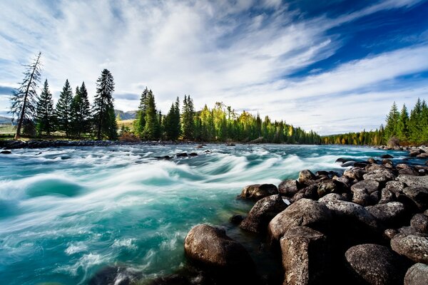 Der stürmische Fluss fließt in allen Schattierungen von Blau und Grün