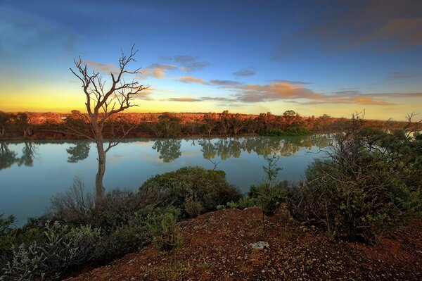 Rive de la rivière au coucher du soleil