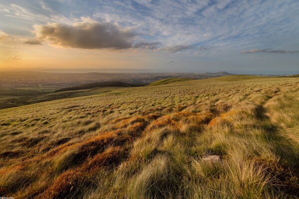 Waving grass on the hillside