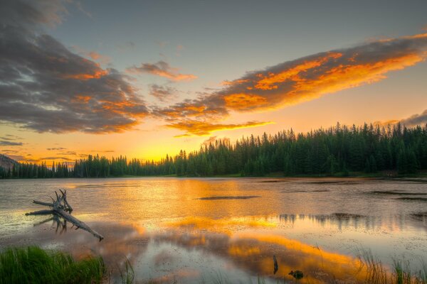 Reflection of the sky on the water against the background of the forest