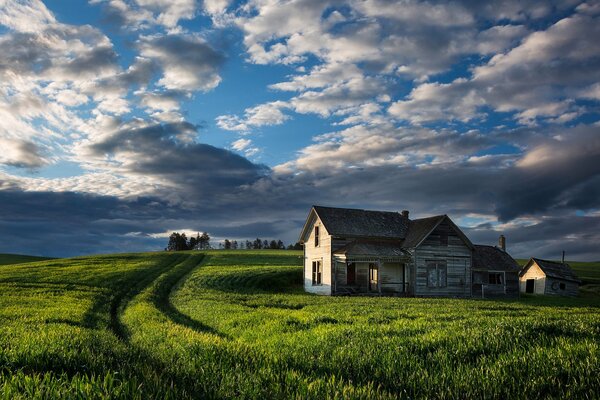 Schöne Aussicht auf das Feld mit Häusern. Himmel mit üppigen Wolken