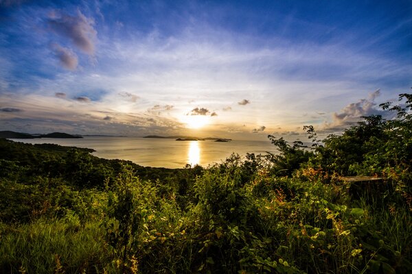 Aube du matin sur l île de la baie