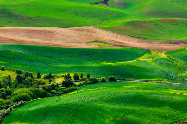 Green hills cut by roads