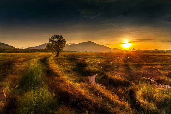 Sonnenuntergang hinter den Gipfeln der Berge