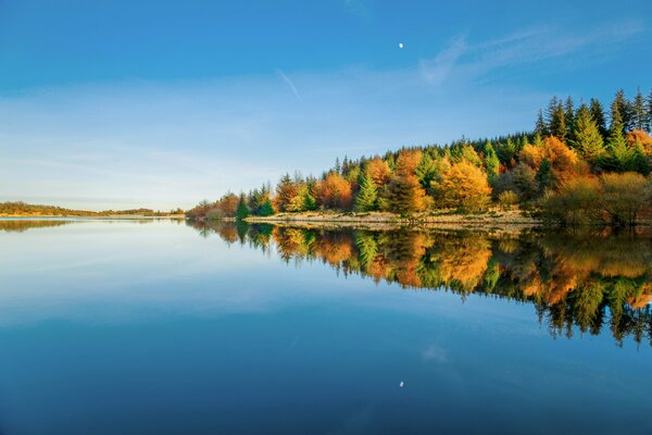 Parque nacional de Dartmoor. Condado de Devon. Bosque