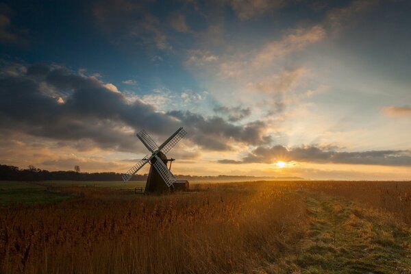 A mill in a wheat field