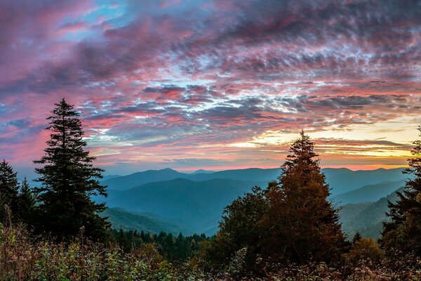 Paysage de montagne de forêt au coucher du soleil