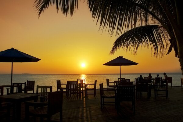 Menschen sitzen bei Sonnenuntergang an einem Tisch neben einer Palme