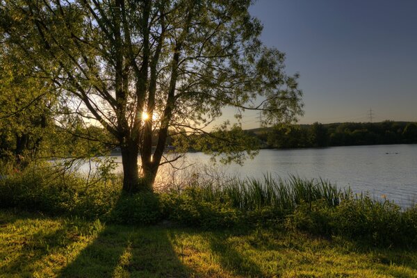 Sunrise on the lake with bright rays of the sun