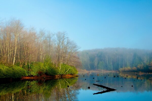 Spring landscape foggy in the morning