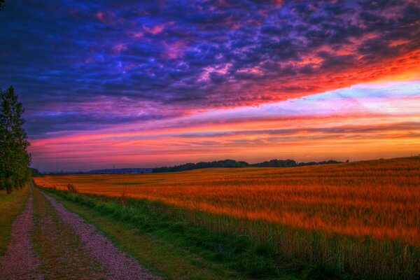 Camino de salida en los rayos del atardecer