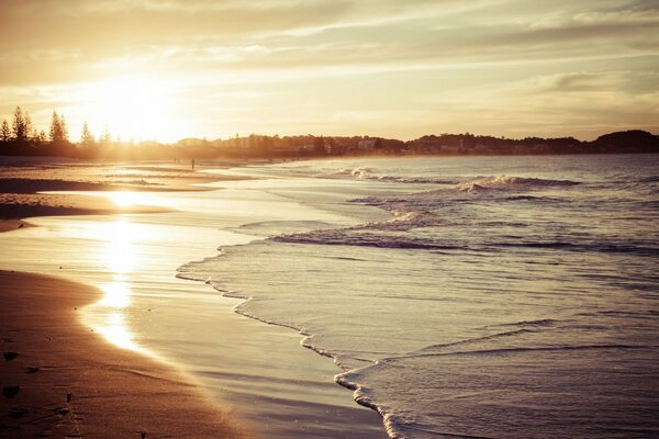 Sea beach in the sunlight