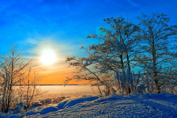 Winter sunny landscape in the forest