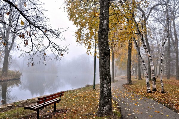 A lonely bench on a misty pond