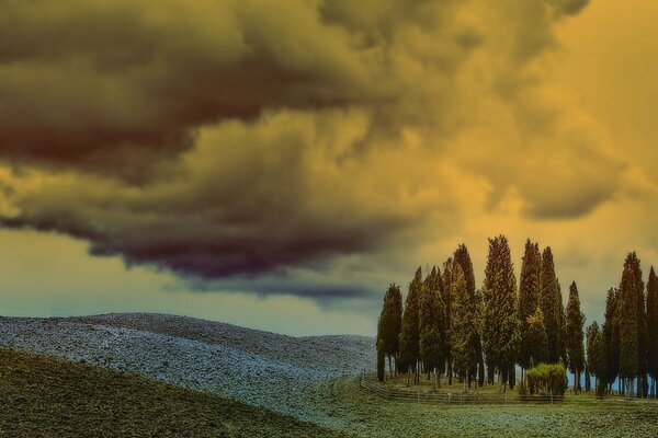 Cloudy sky , beautiful trees