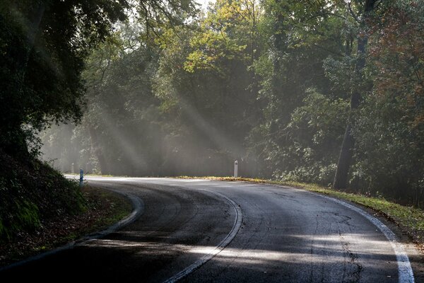 Por la mañana llega el camino que corre hacia adelante con un giro suave