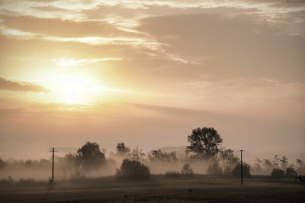 Matin, brouillard, coucher du soleil