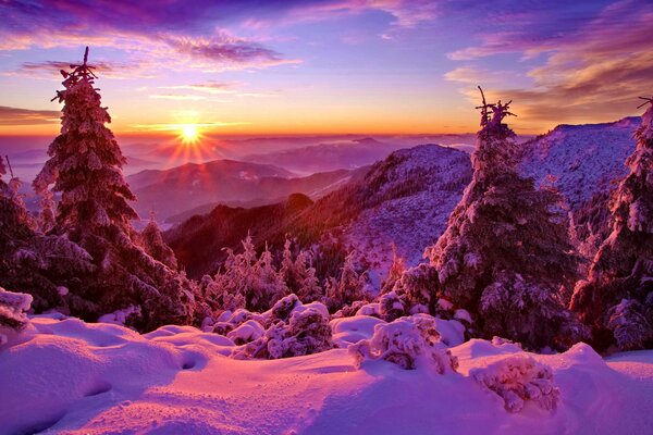 Berge und Wald bei verschneitem Sonnenuntergang