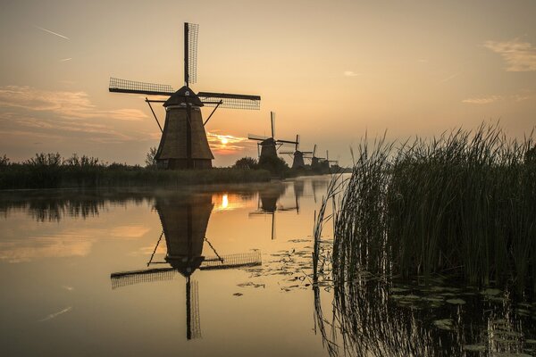 Molinos al amanecer. Río en Holanda