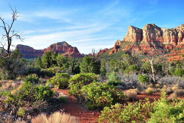 Roches dans le désert de l Arizona