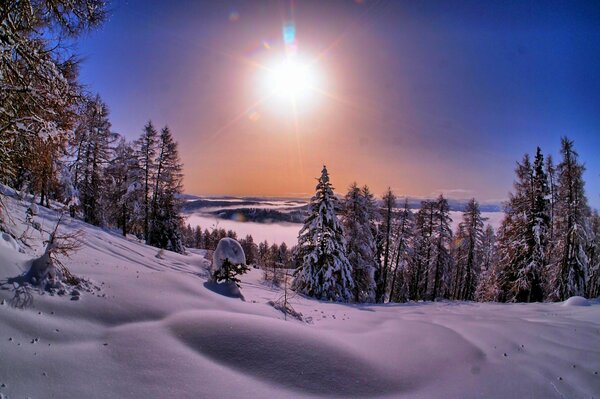 Coucher de soleil blanc nature hiver