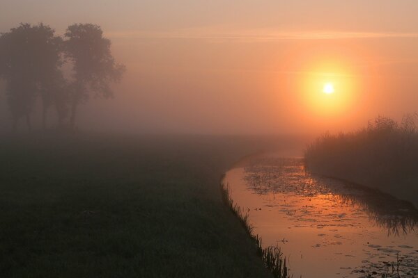 Dämmerung Nebel Fluss