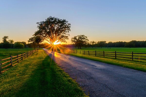 Raggi di sole all alba. Passeggiata mattutina fuori città