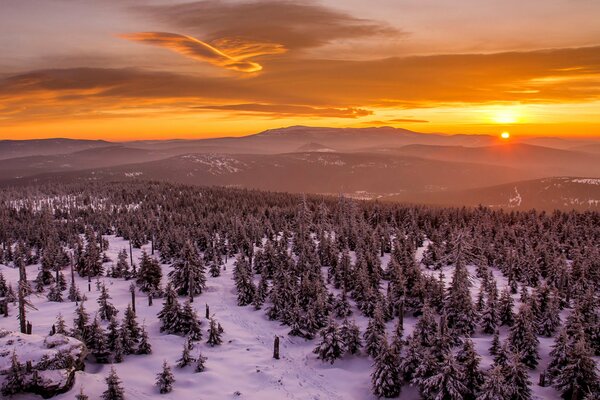 Coucher de soleil dans les montagnes. Forêt d hiver