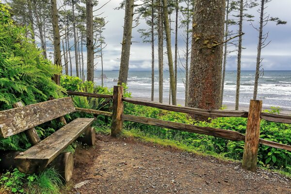 Riva dell oceano a Ruby Beach Washington