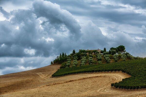 Natur vor dem Regen. Landschaft mit Feld