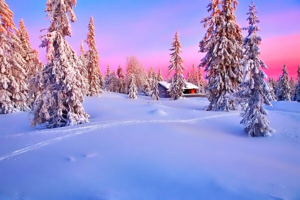 Gemütliches Ferienhaus bei Sonnenuntergang im verschneiten Wald