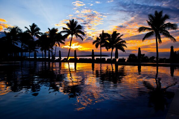 Sunset on the beach with palm trees and umbrellas