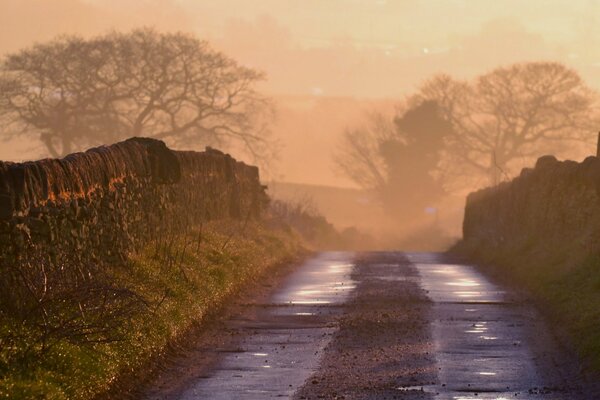 Warmer Morgennebel. Landschaft mit Straße