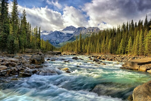 Landscape river in the mountains