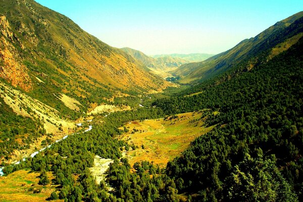 Montañas elegantes cubiertas de bosques verdes alboroto de la naturaleza