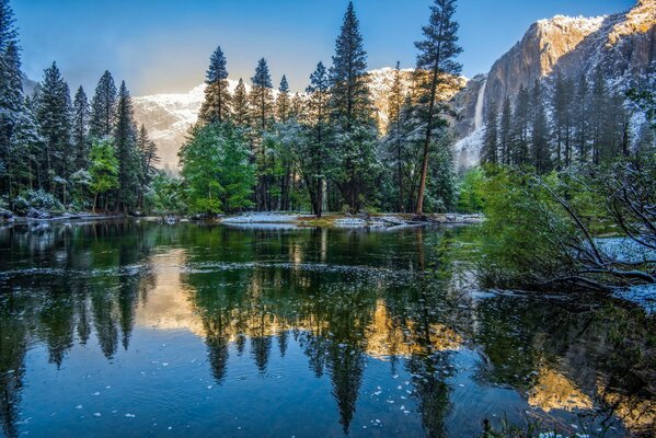 Naturaleza frágil en el parque nacional de California