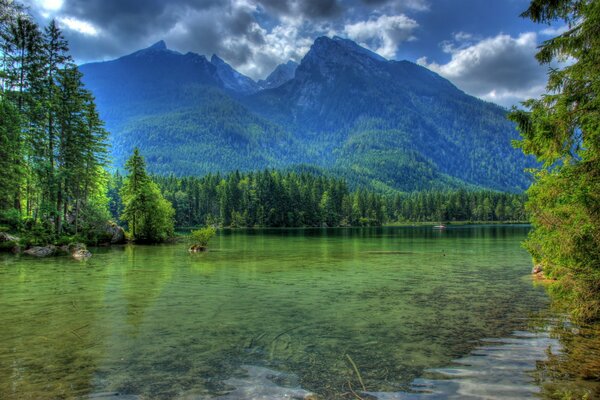 Paysage sur lequel la rivière parmi les forêts et les montagnes