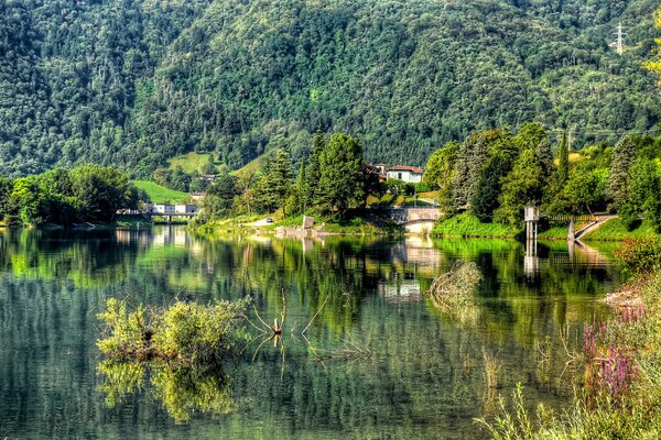 Pueblo junto al lago al pie de la montaña con exuberante vegetación