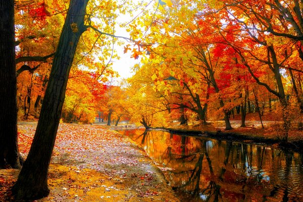 Colori autunnali. Fiume. Natura