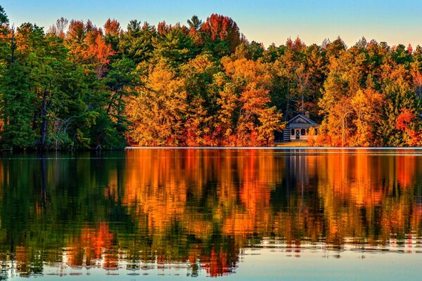 Architektur des Herbstwaldes im Wasser