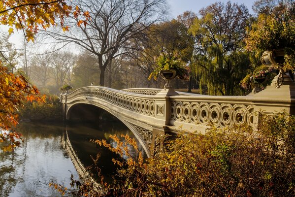 Beautiful autumn landscape of nature