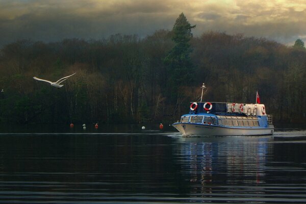 Un navire naviguant dans la trace d une mouette